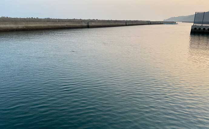 メタル（金属）ルアー1種類のみでアジングに挑戦【熊本】 本命アジとの対面に成功