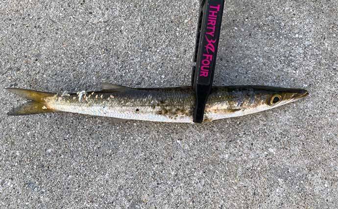 メタル（金属）ルアー1種類のみでアジングに挑戦【熊本】 本命アジとの対面に成功