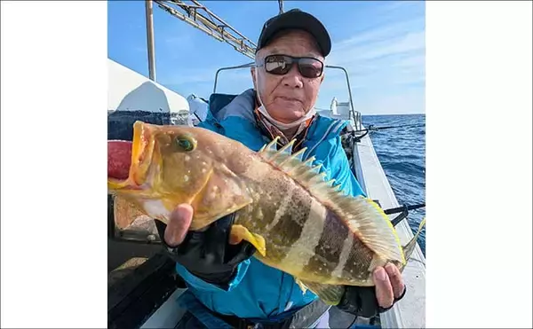 「【沖釣り釣果速報】玄界灘のタイラバで良型マダイ連発！60cm級交じり船中43尾と爆釣（福岡）」の画像
