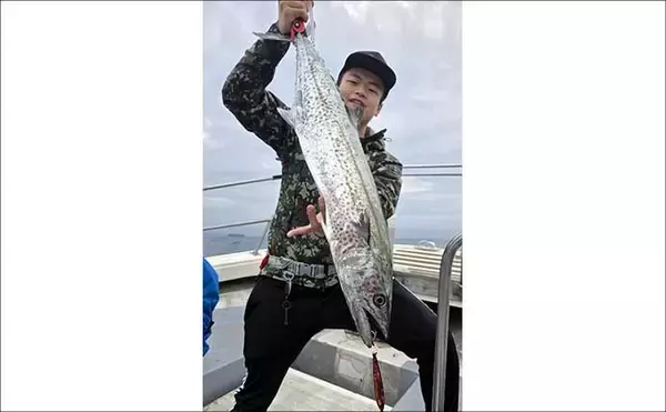 「【沖釣り釣果速報】玄界灘のタイラバで良型マダイ連発！60cm級交じり船中43尾と爆釣（福岡）」の画像