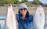 「伊勢湾エリアの泳がせ釣りでヒラメ4匹手中【三重】エサのアジも入れ食い」の画像1