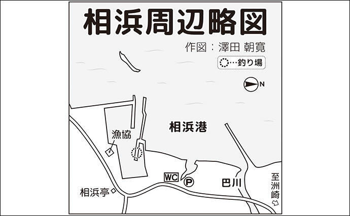 相浜港のサビキ釣りで30cm超えの良型アジが連発！【千葉】フカセ釣りではクロダイもヒット
