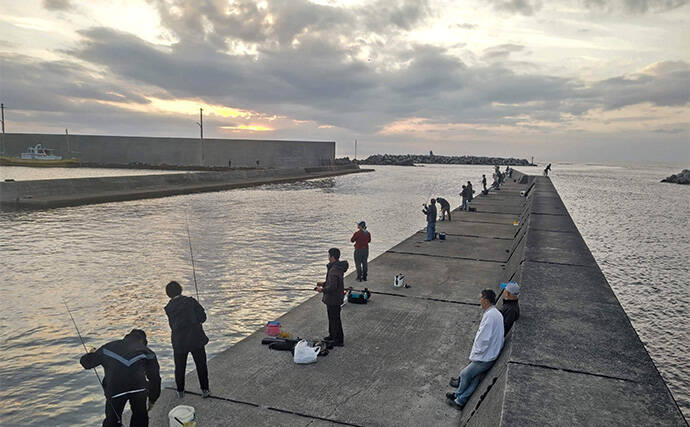 相浜港のサビキ釣りで30cm超えの良型アジが連発！【千葉】フカセ釣りではクロダイもヒット