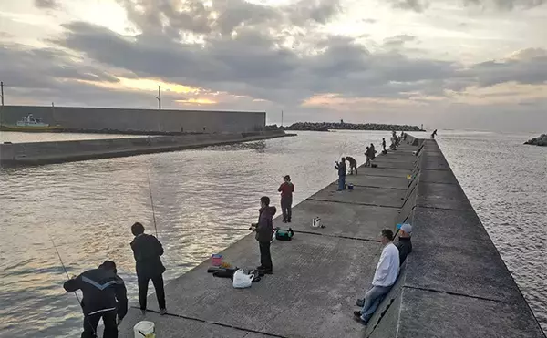 「相浜港のサビキ釣りで30cm超えの良型アジが連発！【千葉】フカセ釣りではクロダイもヒット」の画像