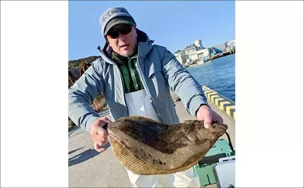 「【沖釣り釣果速報】寒ビラメシーズン本格化！泳がせ釣りで座布団サイズ登場（三重）」の画像