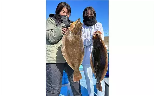 「【沖釣り釣果速報】寒ビラメシーズン本格化！泳がせ釣りで座布団サイズ登場（三重）」の画像