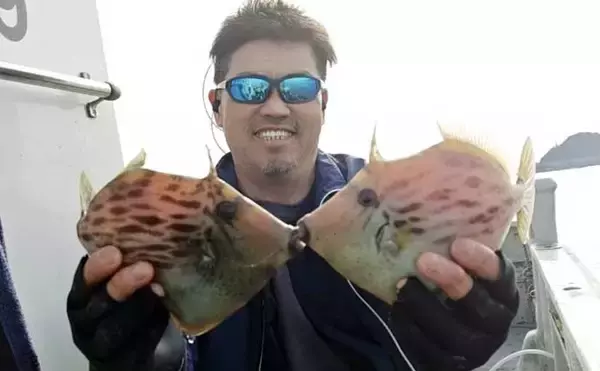 「【沖釣り釣果速報】寒ビラメシーズン本格化！泳がせ釣りで座布団サイズ登場（三重）」の画像