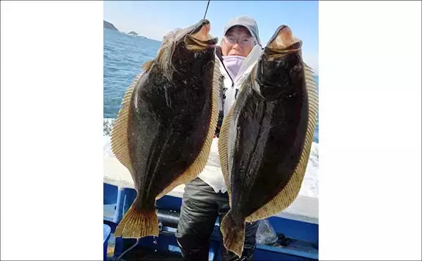 「【沖釣り釣果速報】寒ビラメシーズン本格化！泳がせ釣りで座布団サイズ登場（三重）」の画像