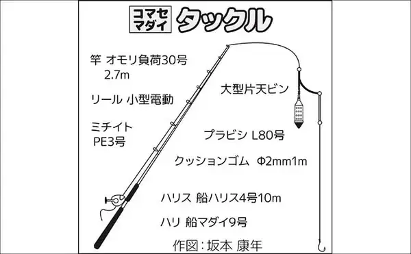 「久里浜沖コマセマダイ釣りでトップ16尾と大爆釣！【神奈川】」の画像