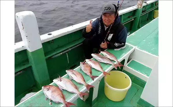 「久里浜沖コマセマダイ釣りでトップ16尾と大爆釣！【神奈川】」の画像