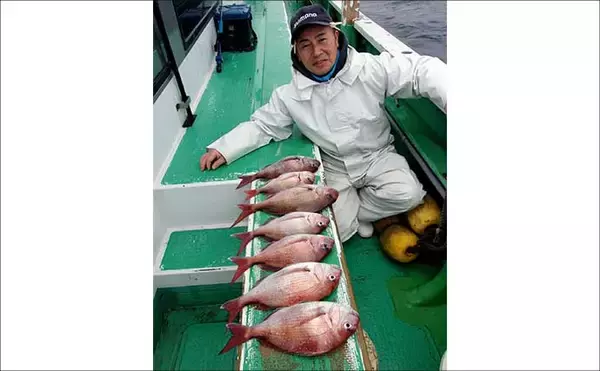 「久里浜沖コマセマダイ釣りでトップ16尾と大爆釣！【神奈川】」の画像