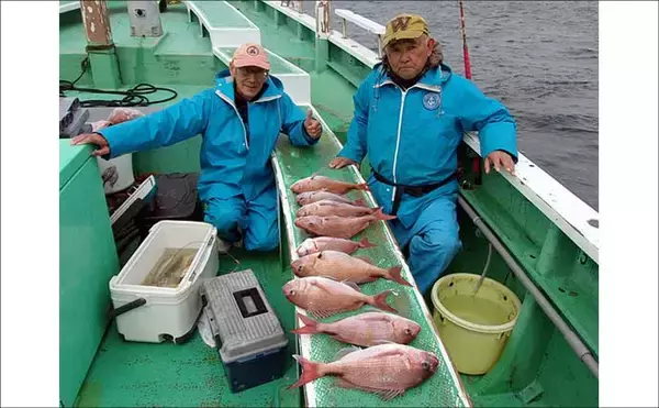「久里浜沖コマセマダイ釣りでトップ16尾と大爆釣！【神奈川】」の画像