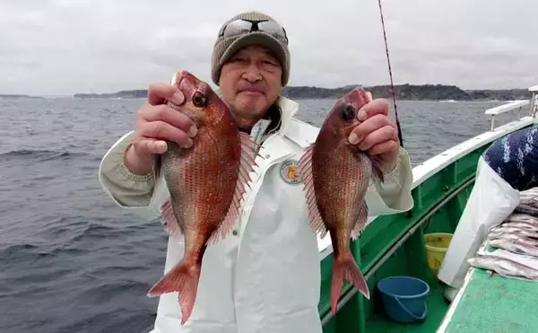 「久里浜沖コマセマダイ釣りでトップ16尾と大爆釣！【神奈川】」の画像