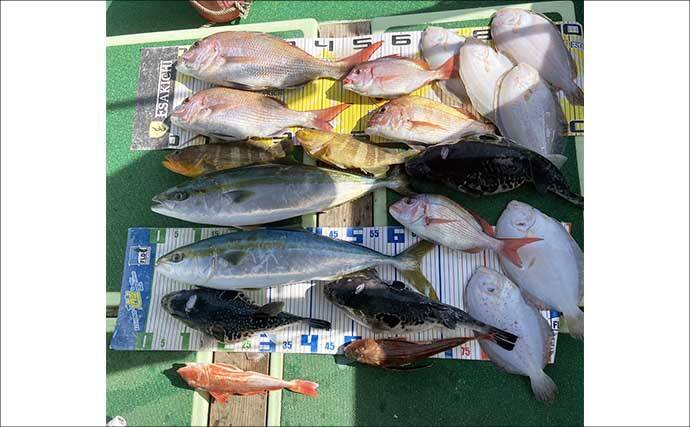 「乗っ込みの大型マダイ浮上！」タイラバで数型ともに狙い目【沖のルアー釣果速報12選・三重】