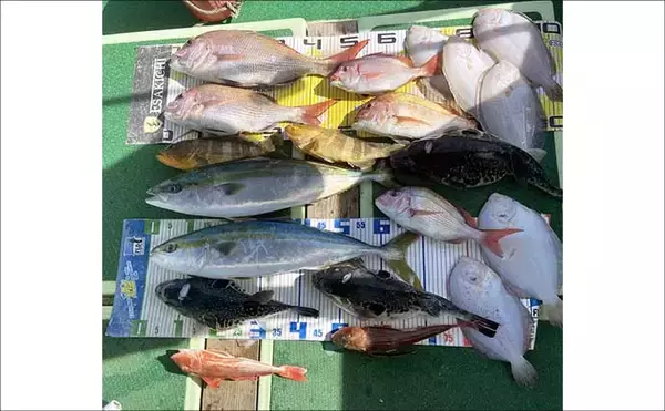 「「乗っ込みの大型マダイ浮上！」タイラバで数型ともに狙い目【沖のルアー釣果速報12選・三重】」の画像