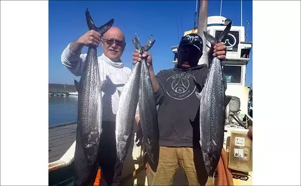 「「乗っ込みの大型マダイ浮上！」タイラバで数型ともに狙い目【沖のルアー釣果速報12選・三重】」の画像