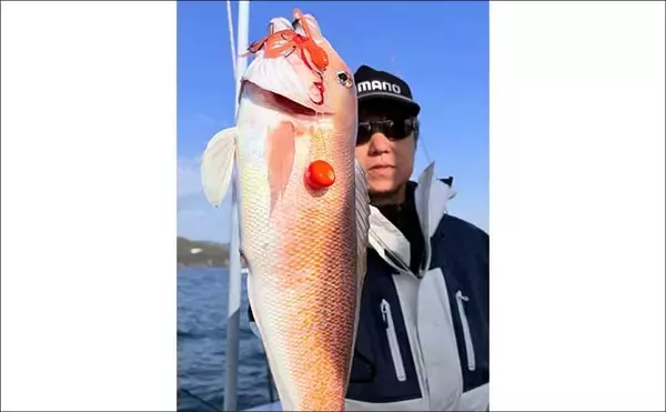 「「乗っ込みの大型マダイ浮上！」タイラバで数型ともに狙い目【沖のルアー釣果速報12選・三重】」の画像