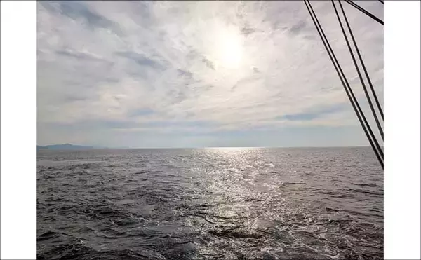 「日本海イカメタル釣行でケンサキイカ13杯【京都】自作ドロッパーで頻繁に変化する棚を攻略」の画像