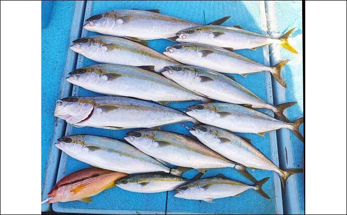 Db3imunfkl9ufm Db3imunfkl9ufm