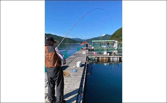 海上釣り堀『貞丸』での貸切釣行でカンパチ・ワラサ・マダイ・イシダイ