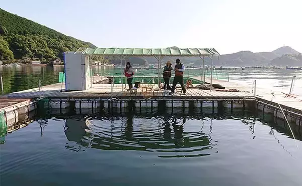 「海上釣り堀『貞丸』での貸切釣行でカンパチ・ワラサ・マダイ・イシダイ」の画像