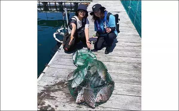 「海上釣り堀『貞丸』での貸切釣行でカンパチ・ワラサ・マダイ・イシダイ」の画像