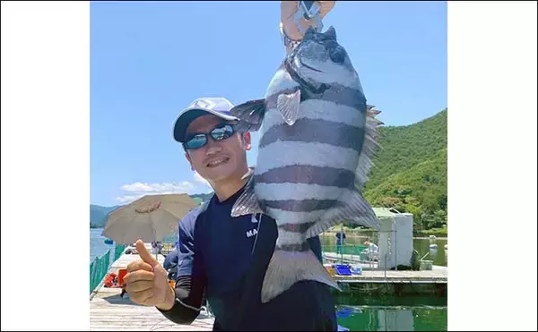 「海上釣り堀『貞丸』での貸切釣行でカンパチ・ワラサ・マダイ・イシダイ」の画像