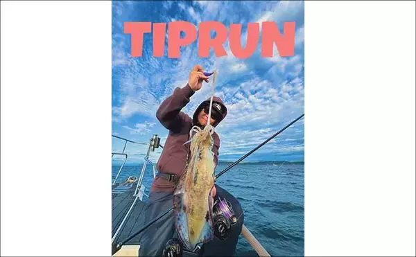 「【沖のルアー釣果速報】ティップランでアオリイカ船中23匹！サオ頭は7匹をマーク（三重）」の画像