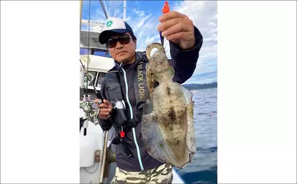 「【沖のルアー釣果速報】ティップランでアオリイカ船中23匹！サオ頭は7匹をマーク（三重）」の画像