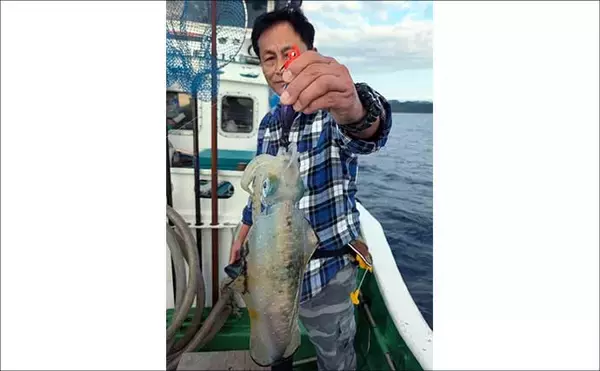 「【沖のルアー釣果速報】ティップランでアオリイカ船中23匹！サオ頭は7匹をマーク（三重）」の画像