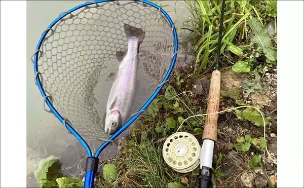 「難関管理釣り場をフライフィッシングで攻略！『鹿島槍ガーデン』で55cm筆頭に良型トラウト30尾」の画像