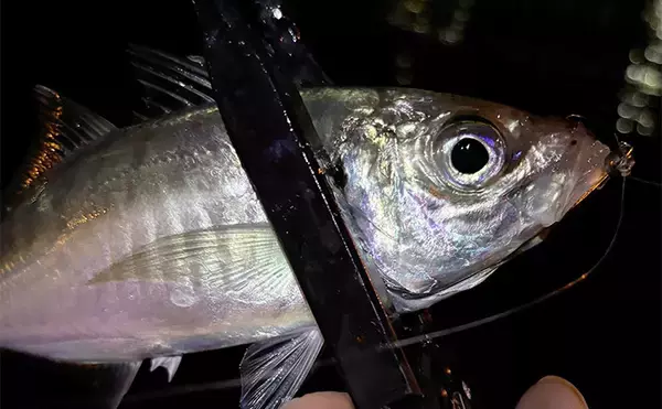 「ミスキャストを自動で補正？」 未来のリールに付いたら嬉しい機能を妄想してみた