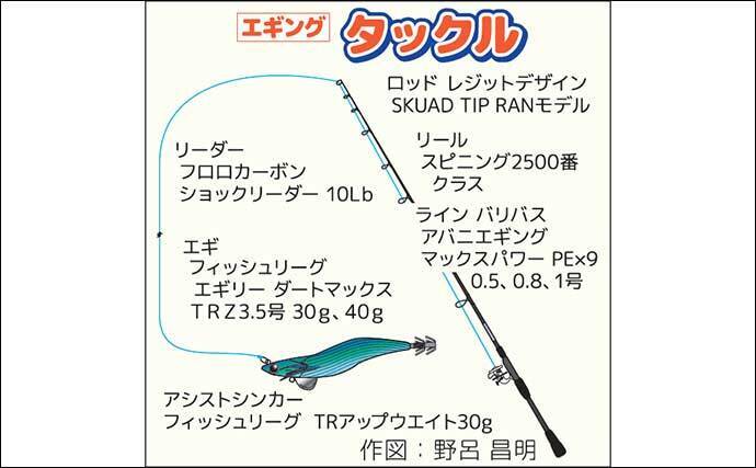 相模湾ティップランエギングで差をつけるコツ　アシストシンカーとロッド使い分け術