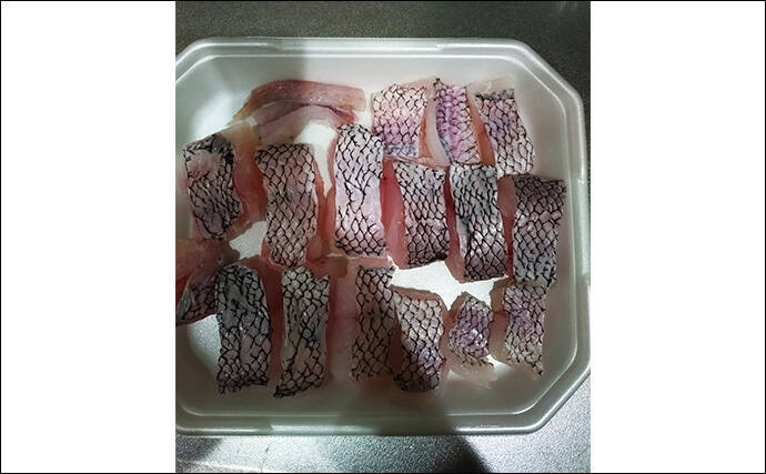 漁師さんからもらった深海魚「トウジン」を鍋にして食べてみた　見た目は微妙も味は美味