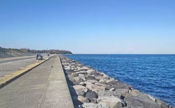 「自衛隊護岸でウキフカセ釣り満喫【千葉・館山】44cmメジナ含め良型連発の好展開」の画像