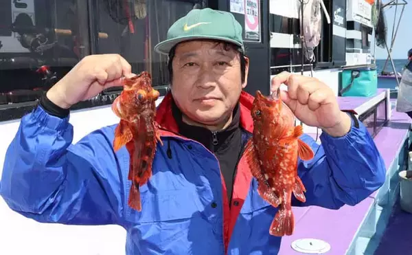 「船カサゴ釣りシーズン好スタート！嬉しいゲスト交じりに良型顔出し【釣友丸・茨城】」の画像
