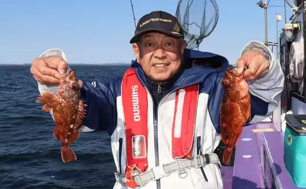 「船カサゴ釣りシーズン好スタート！嬉しいゲスト交じりに良型顔出し【釣友丸・茨城】」の画像