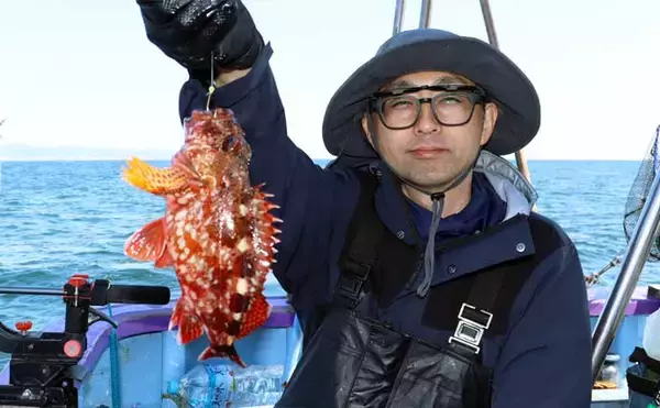 「船カサゴ釣りシーズン好スタート！嬉しいゲスト交じりに良型顔出し【釣友丸・茨城】」の画像