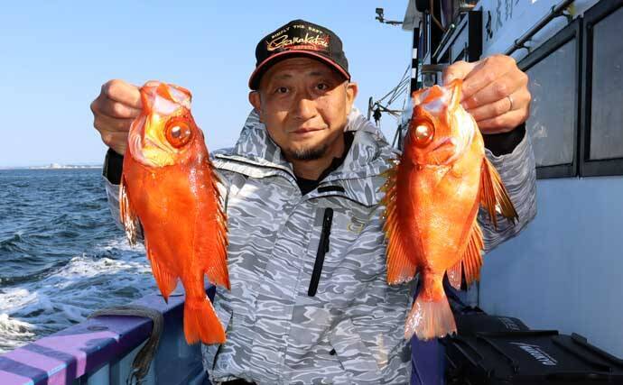 船カサゴ釣りシーズン好スタート！嬉しいゲスト交じりに良型顔出し【釣友丸・茨城】