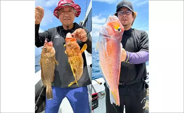 「平戸沖ジギング＆キャスティングゲームで根魚にヒラマサが好調【沖釣り釣果速報5選・長崎／佐賀】」の画像