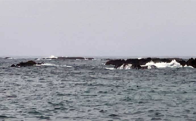 磯でのエギング釣行でアオリイカ4杯【熊本・天草】海藻の有無が超重要ポイント？