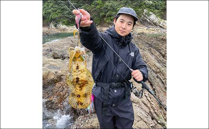 磯でのエギング釣行でアオリイカ4杯【熊本・天草】海藻の有無が超重要ポイント？