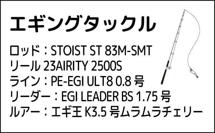 磯でのエギング釣行でアオリイカ4杯【熊本・天草】海藻の有無が超重要ポイント？