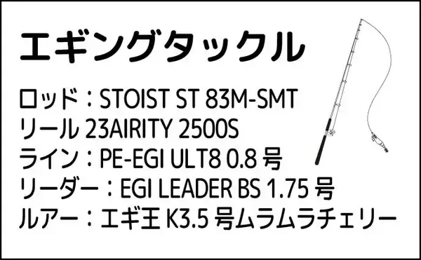 「磯でのエギング釣行でアオリイカ4杯【熊本・天草】海藻の有無が超重要ポイント？」の画像
