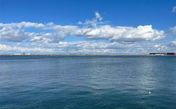 「シーバスロッド流用でのルアーマゴチ釣りで45cm本命登場【木曽川河口】」の画像