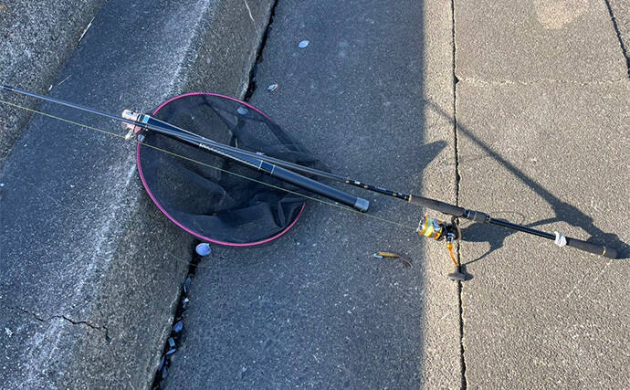 シーバスロッド流用でのルアーマゴチ釣りで45cm本命登場【木曽川河口】