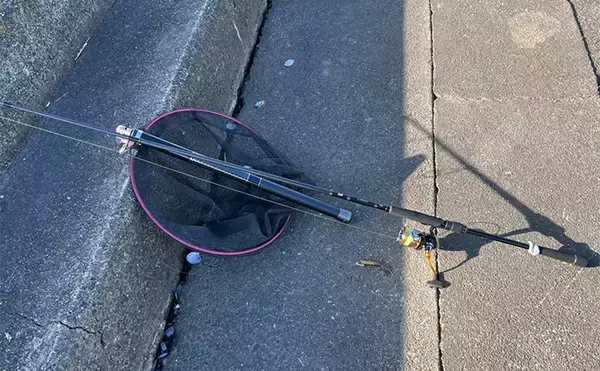 「木曽川河口のルアーマゴチ釣りで43cm本命をキャッチ！ 年末までは楽しめそうか」の画像