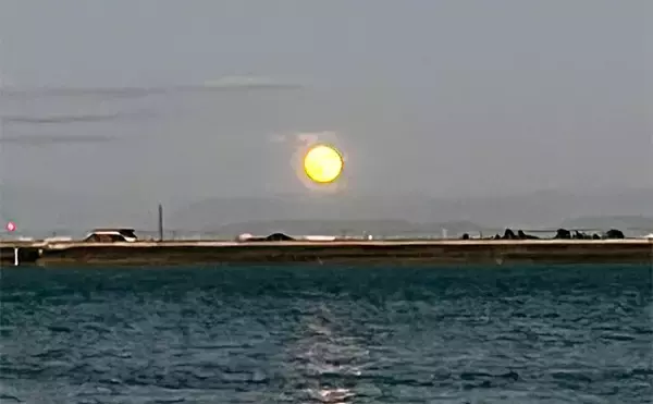 「木曽川河口のルアーマゴチ釣りで43cm本命をキャッチ！ 年末までは楽しめそうか」の画像