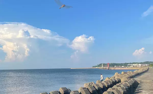 日本の「二季化」が進むと釣りの未来はどうなる？　短期集中の爆釣傾向が高まる予感