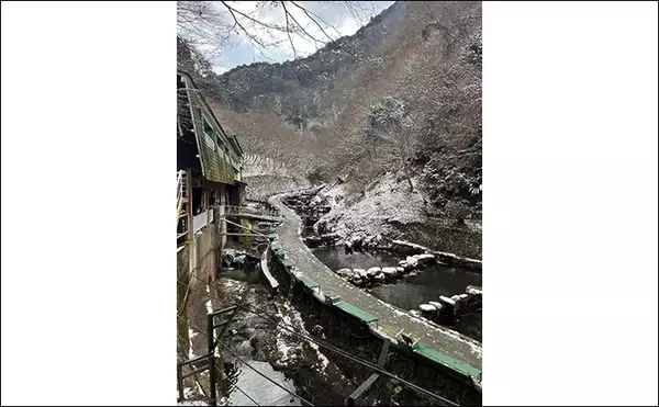 「「午後だけで70匹！」極寒のエリアトラウト釣行で放流パターン炸裂【大阪・千早川マス釣り場】」の画像